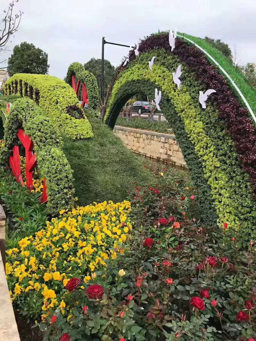 五色草绿雕 广场景区的点睛之笔，热气球造型与更多定制选择