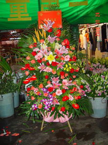 绽放的艺术 一站式鲜花绿植服务与展台设计搭建解决方案