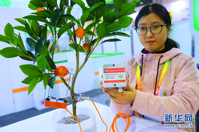 在“中国农科城”看农业新图景 新型智慧农业管理模式赋能花卉产业升级