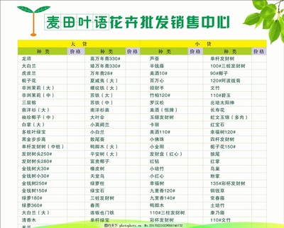 鲜花与花卉市场全品类价目表解析 从优惠到底价的选购攻略