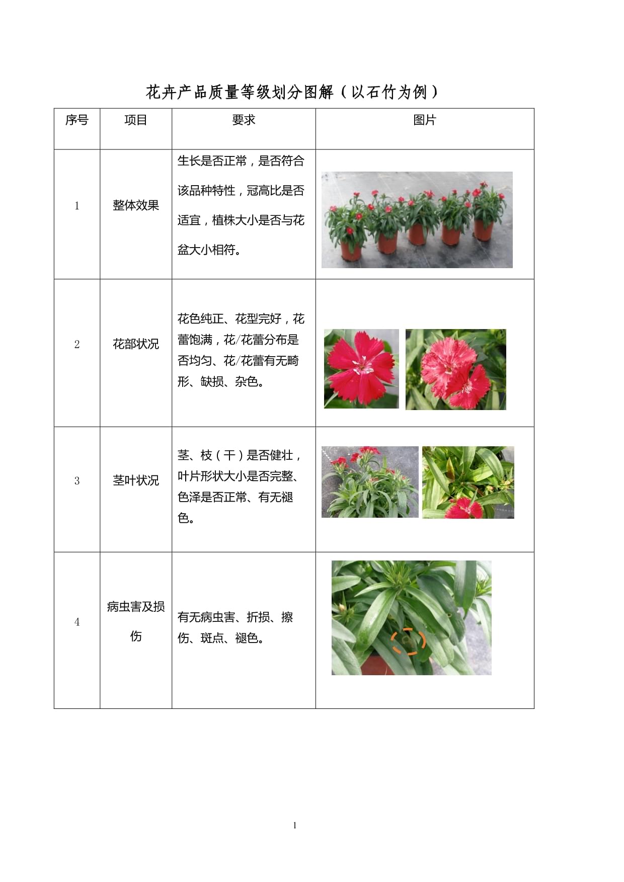 花卉产品质量等级划分图解 以石竹盆景为例