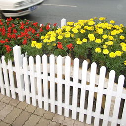 河北衡水安平县迪森丝网厂 盆景种植的优质合作伙伴