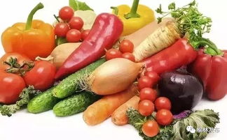 靖边蔬菜节即将来袭 花卉主题活动全知道