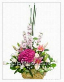 丽沁花艺 花卉、植物、美食与礼品的完美融合